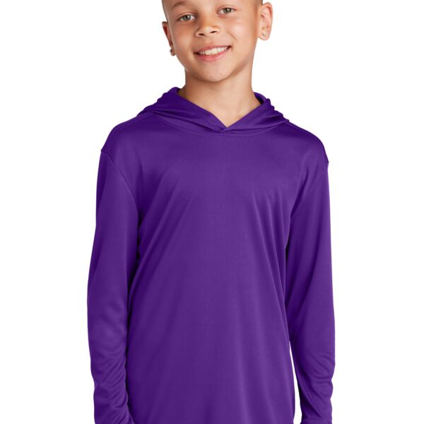 BFP - Youth PosiCharge ® Competitor Hooded Pullover Thumbnail